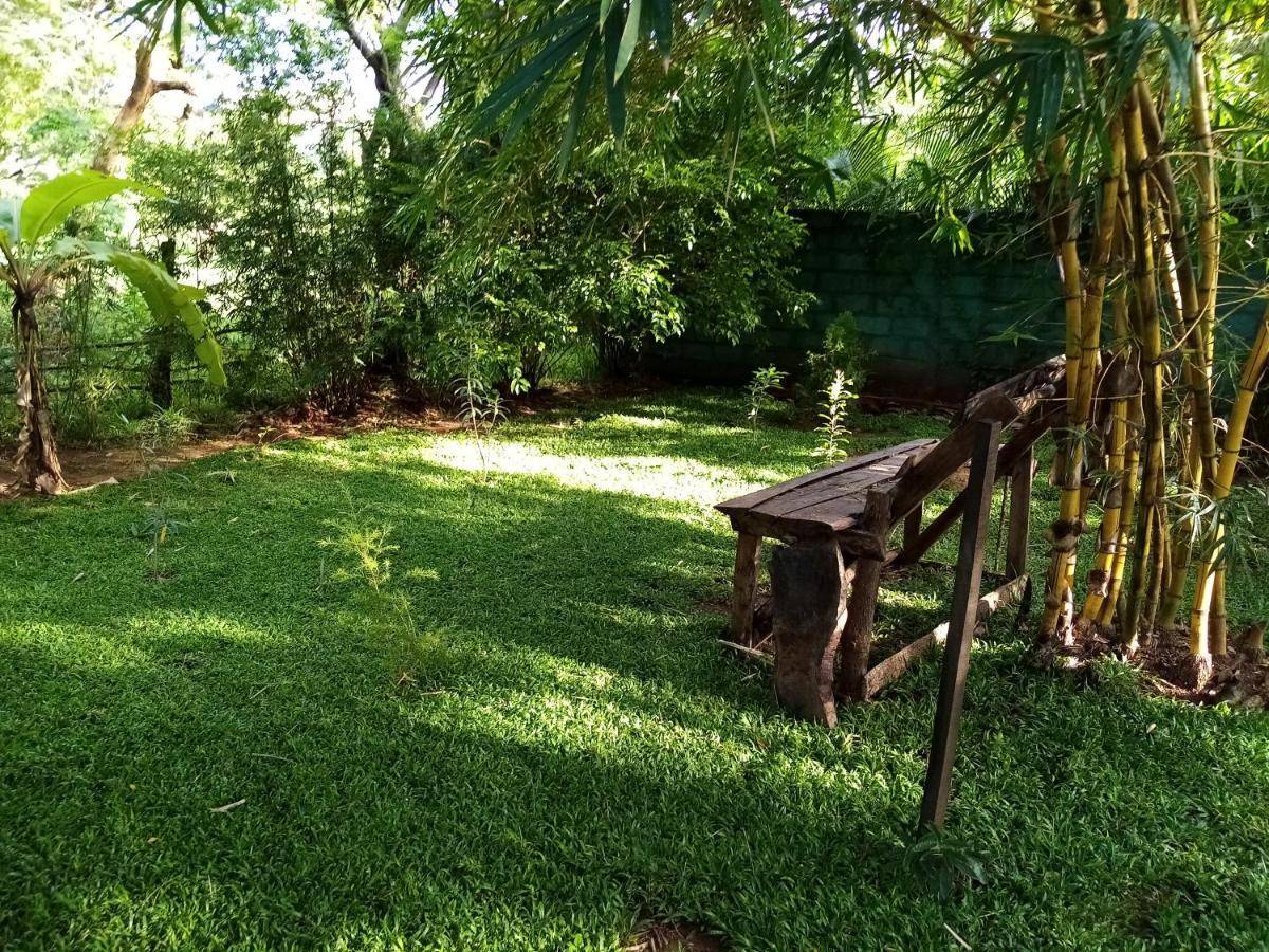 Sigiriya Danu Homestay Exterior photo